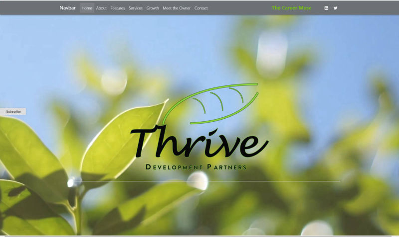 Thrive-Development site